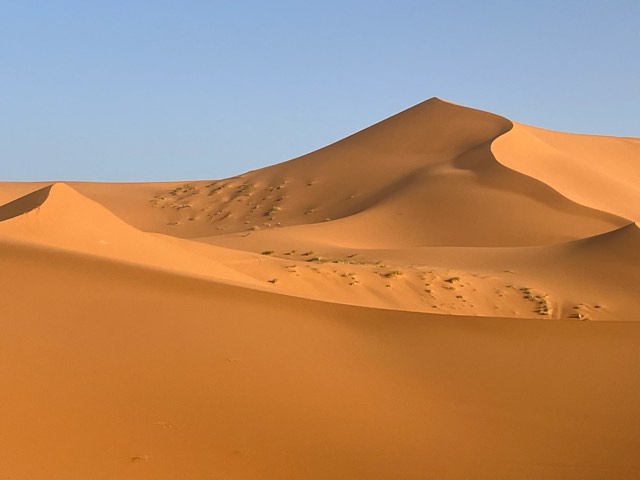 High orange sand dunes of Erg Chebbi under a clear blue sky
